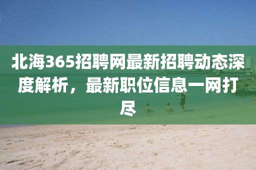 北海365招聘网最新招聘动态深度解析，最新职位信息一网打尽