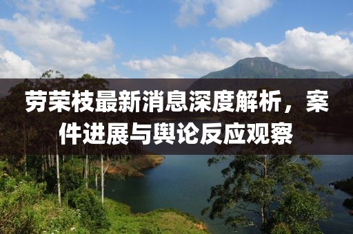 劳荣枝最新消息深度解析，案件进展与舆论反应观察