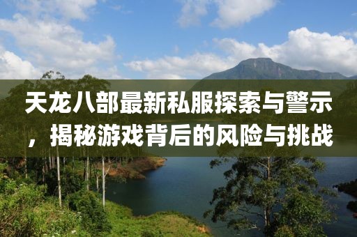 天龙八部最新私服探索与警示，揭秘游戏背后的风险与挑战