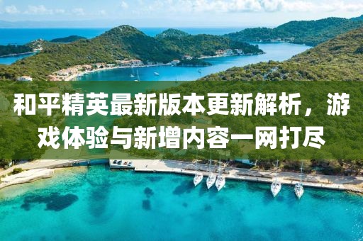 和平精英最新版本更新解析，游戏体验与新增内容一网打尽