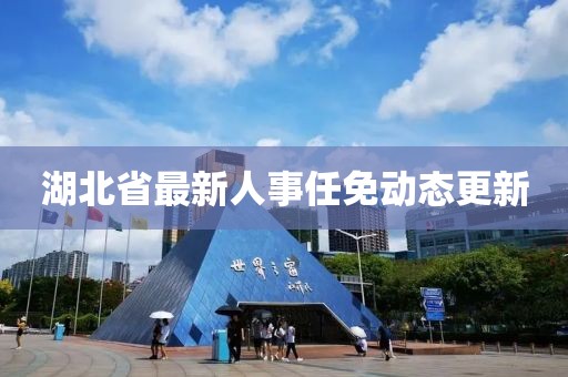 湖北省最新人事任免动态更新