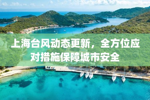 上海台风动态更新，全方位应对措施保障城市安全