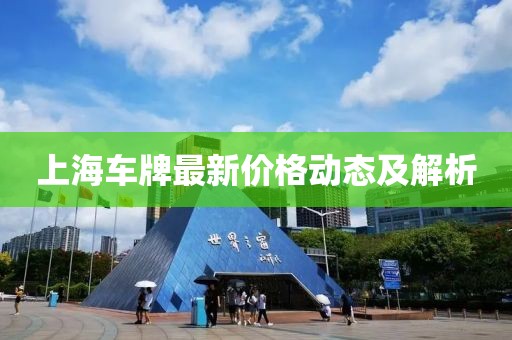 上海车牌最新价格动态及解析