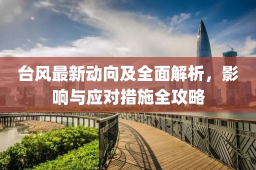 台风最新动向及全面解析，影响与应对措施全攻略