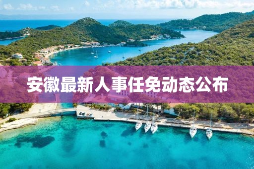 安徽最新人事任免动态公布