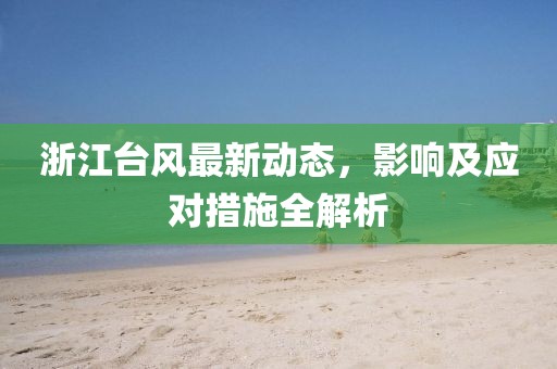 浙江台风最新动态，影响及应对措施全解析