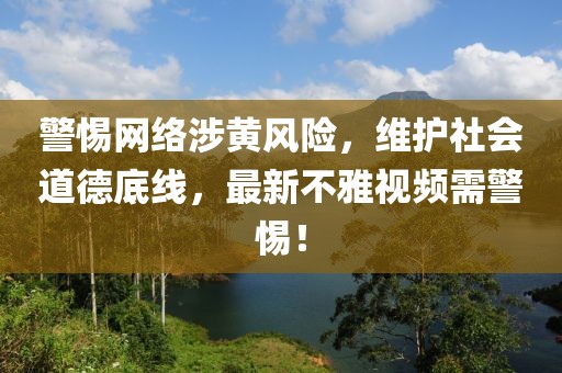 警惕网络涉黄风险，维护社会道德底线，最新不雅视频需警惕！