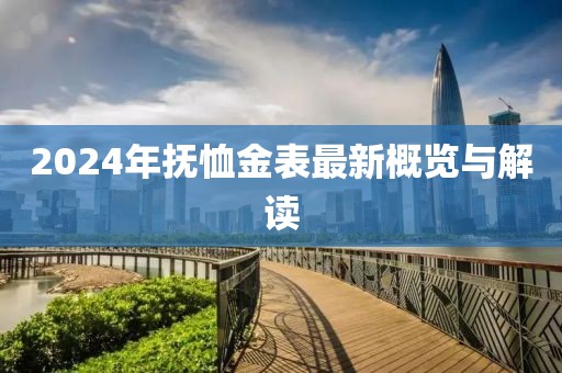 2024年抚恤金表最新概览与解读