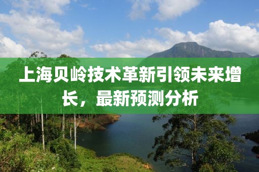 上海贝岭技术革新引领未来增长，最新预测分析