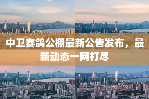 中卫赛鸽公棚最新公告发布，最新动态一网打尽