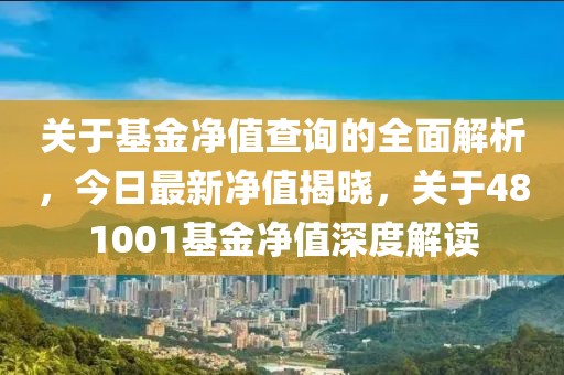 关于基金净值查询的全面解析，今日最新净值揭晓，关于481001基金净值深度解读