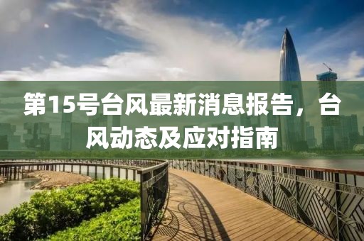 第15号台风最新消息报告，台风动态及应对指南