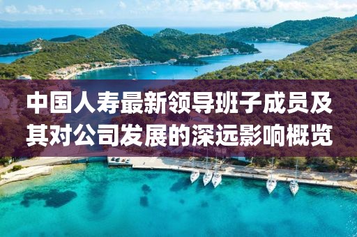 中国人寿最新领导班子成员及其对公司发展的深远影响概览