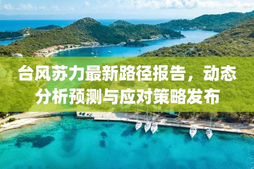 台风苏力最新路径报告，动态分析预测与应对策略发布