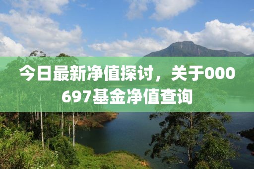 今日最新净值探讨，关于000697基金净值查询