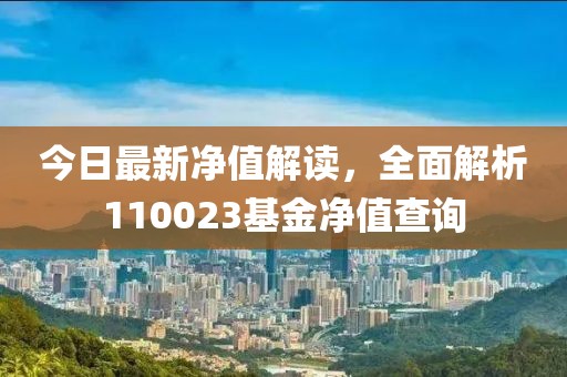 今日最新净值解读，全面解析110023基金净值查询