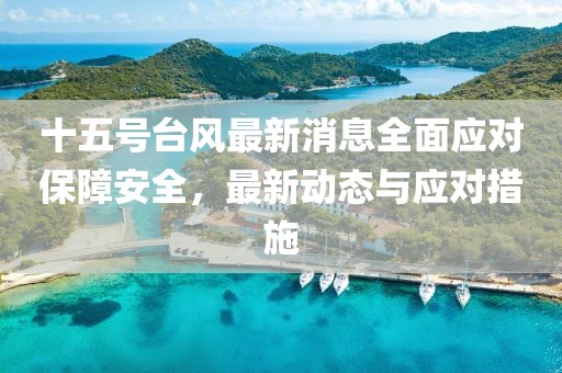 十五号台风最新消息全面应对保障安全，最新动态与应对措施