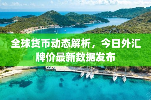 全球货币动态解析，今日外汇牌价最新数据发布