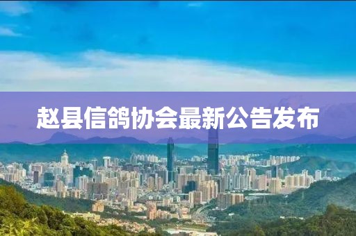 赵县信鸽协会最新公告发布