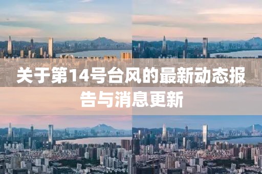 关于第14号台风的最新动态报告与消息更新