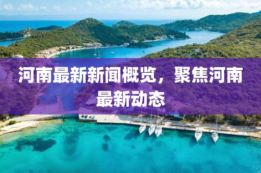 河南最新新闻概览，聚焦河南最新动态