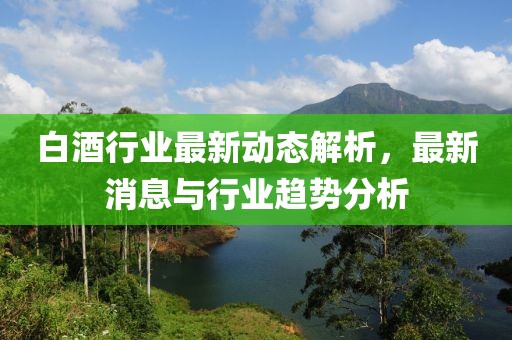 白酒行业最新动态解析，最新消息与行业趋势分析