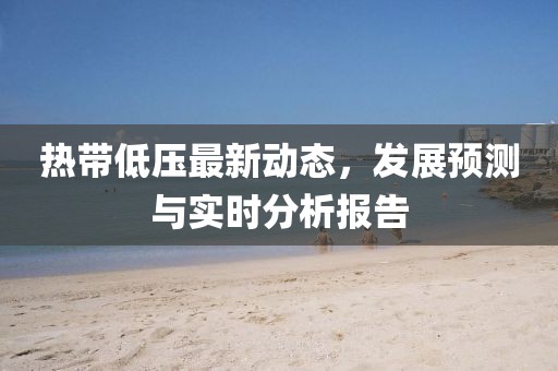 热带低压最新动态，发展预测与实时分析报告