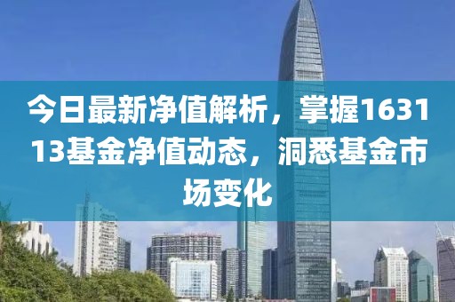 今日最新净值解析，掌握163113基金净值动态，洞悉基金市场变化