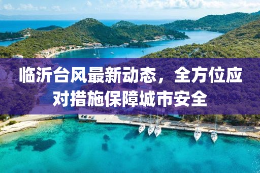 临沂台风最新动态，全方位应对措施保障城市安全