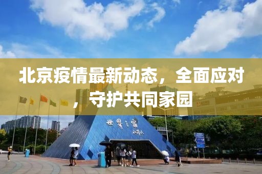 北京疫情最新动态，全面应对，守护共同家园